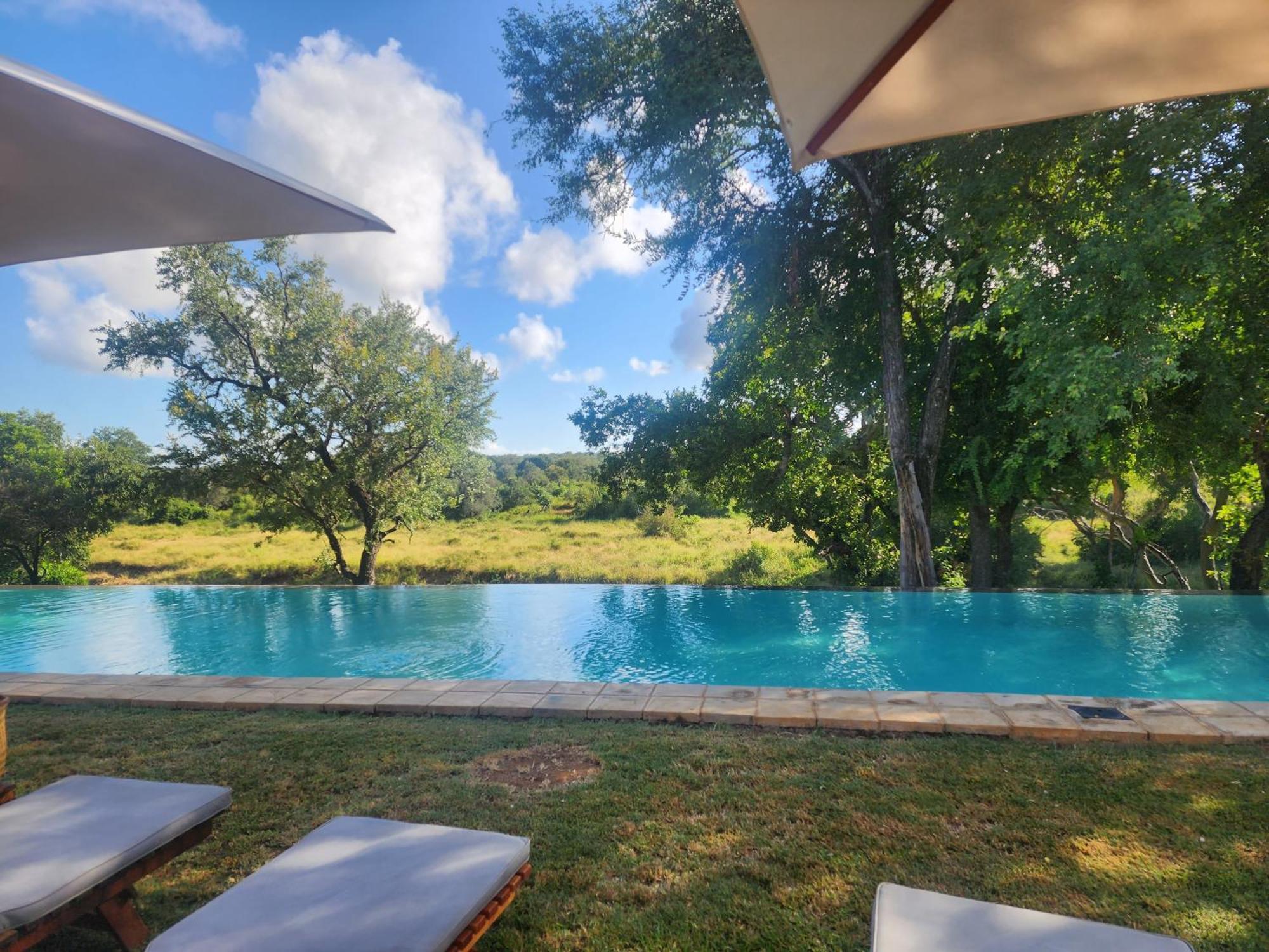 Karongwe Portfolio - Becks Safari Lodge Karongwe Game Reserve Esterno foto