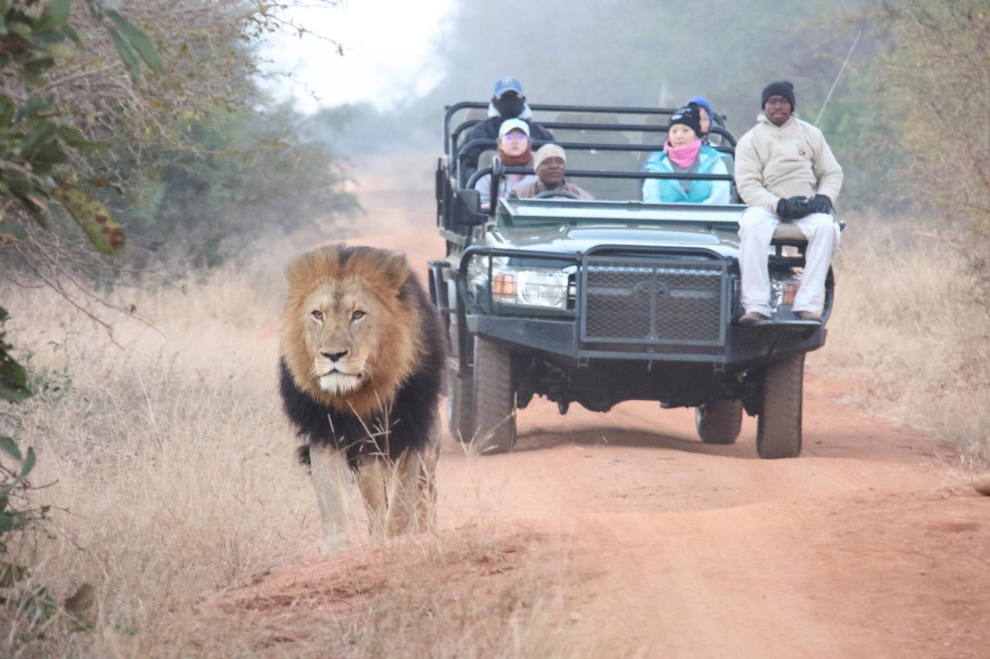Karongwe Portfolio - Becks Safari Lodge Karongwe Game Reserve Esterno foto