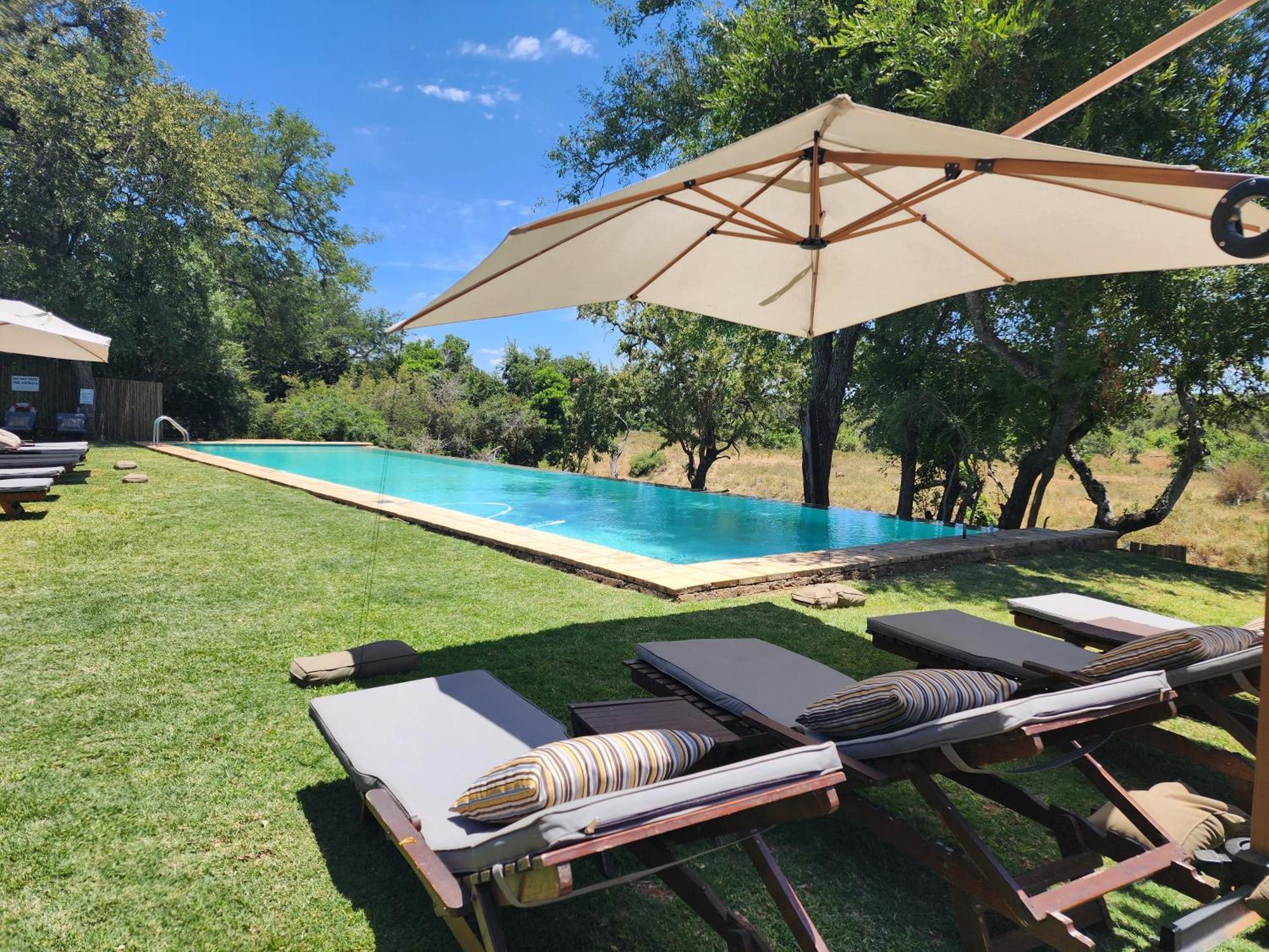 Karongwe Portfolio - Becks Safari Lodge Karongwe Game Reserve Esterno foto
